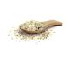 Ankerkraut Aioli-Pepper Salt - Flavored Finisher Salt for Aioli Butter | 310g Shaker | International Shipping Available - Buy Online on GoSupps.com