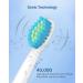 Sonic Electric Toothbrush for Adults - Initio Rechargeable with Smart Timer, 5 Modes, 3 Brush Heads, 40,000 VPM Motor - Whitening Power IT959 (Navy Blue) - Buy Online on GoSupps.com