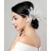 Anglacesmade Bridal 1920s Flapper Feather Hair Clip Pin Crystal White Feather Roaring 20s Headpiece Prom Party Festival Gatsby Hair Jewelry for Women and Girls - Buy Online on GoSupps.com