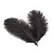 Sowder 6-8inch(15-20cm) Ostrich Feathers Plume for Wedding Centerpieces Home Decoration Pack of 10pcs (Black) 6-8 inch Black