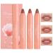 AKARY Waterproof 3 Pcs Nude Matte Lipstick Set Natural Nude Lipstick Velvet Air Moisture Smooth Crayon Lip Stain Matte Lipstick 24 Hour Long Lasting Lip Gloss Lipstick for Women Makeup Set C