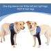 COOUTO Dog Recovery Suit - Abrasion-Resistant Waterproof Washable Sleeve for Pets | Prevent Wounds & Keep Dogs Dry (Size L) - Buy Online on GoSupps.com