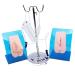 Catheterization model internal and external portable genital catheterization simulation model for the training of skills as pedagogical help.times