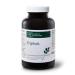 Classic Ayurveda - Triphala tablets - 200 g (approx. 500 tablets) - Dried fruits from Amla Haritaki and Bibhitaki - Ayurveda Rasayana (strengthening agents) with tannins