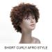 100% Brazilian Hair Afro Wig for Black Women - Short Curly 5 Inch - Dark Blonde, Medium Auburn, Dark Brown - Beauty Personal Care - Buy Online on GoSupps.com