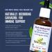 New Roots Herbal - Black Walnut Hull Organic Tincture 50ml - Eliminates Tinea Corporis - Help Expel Intestinal Worms Vermifuge - Buy Online on GoSupps.com