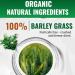  Qoobom Salveo Barley Grass Powder 100% Pure and Organic Salveo Well - Organic Barley Grass Juice Powder Improve Your Health Naturally Excretes Body Waste in Just 2 Weeks - Buy Online on GoSupps.com