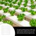GANAZONO 3pcs Cucumber Mold Square Cucumber Growing Molds Solar Water Fountain Stereotypes Pp Ginseng Fruit - Buy Online on GoSupps.com