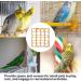Bird Rope Climbing Network & Hammock Swing for Small Pets - Cotton Climbing Rope with 4 Hooks for Rats Hamsters Ferrets - 27.9x20.1cm Orange - Buy Online on GoSupps.com