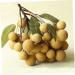 Ciieeo Doll House Diy Toy Fake Longyan Model Kitchen Fruit Longan Model Fruit Photography Props Fake Longan Decor Simulation Fruit Simulation Fake Fruit Faux Fruit Plastic Peach Miniature Khaki 18x18cm - Buy Online on GoSupps.com