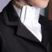 Amesbichler Reitsport Ladies Plastron Precious - White-Gold Dressage Riding Accessory | Harry's Horse - Buy Online on GoSupps.com