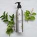 Buy Annmarie Sweet Sunrise Shampoo - Natural Shine & Nourishment | International Shipping Available - Buy Online on GoSupps.com