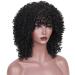 Curly Hair Wigs for Black Women - Natural Kinky Afro Wigs Lace Front & Synthetic Options - Buy Online on GoSupps.com