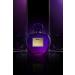 Antonio Banderas Secret Femenine (Her Secret Desire 2.7 Fl Oz) 1 Fl Oz (Pack of 1) - Buy Online on GoSupps.com