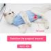 WDEC Cat Professional Recovery Suit | E-Collar Alternative for Cats & Dogs | Post-Surgery Wear | Prevent Shedding | Skin Diseases | Abdominal Wounds | Pajama Suit | S Blue - Buy Online on GoSupps.com