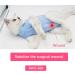 WDEC Katzenbody | After Op Anti-Trolling Cat Clothing for Skin Disease Recovery | E-Neck Band Alternative for Cats & Dogs - Size M Blue - Buy Online on GoSupps.com