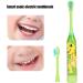 Kids Electric Toothbrush - Cartoon Pattern, Light Green - Oral Care for Children - Buy Online on GoSupps.com