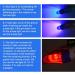 Yuland Teeth Whitening Lamp | 36W LED Dental Bleaching Light with Remote Control | Effective Teeth Whiteners | 1 Fl Oz - Buy Online on GoSupps.com