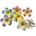 2 PCS Hawaiian Frangipani Plumeria Foam Head Flower Hair Clip - White + Pink - Buy Online on GoSupps.com