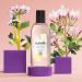 FLORENA Fermented Angelica Oil and Jasmine Toning Lotion (1 x 200 ml) facial cleanser with 99% natural ingredients facial lotion for all skin types - Buy Online on GoSupps.com