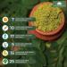 SAPTAMVEDA Premium Moringa Leaf Powder 8.81 Oz/250 Gm - Natural Multi-Vitamin from India Farms - Buy Online on GoSupps.com