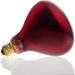 RubyLux NIR-A Near Infrared Bulb Grade A - 1 Pack - Buy Online on GoSupps.com