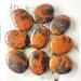 Natural Stone and CrystalReiki Wicca Wichcraft Red Mahogany Palm Minerals for Home Decoration HOMEZHOU 2pcs - Buy Online on GoSupps.com
