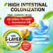 LABO Nutrition FloraGG Lactobacillus Rhamnosus LGG 25 Billion CFU 5-Layer Microencapsulated Active Probiotic & Sunfiber Prebiotic Fiber Supplement | Digestion & Immune Health Support | 60 Capsules x2 - Buy Online on GoSupps.com