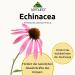 Lemuria Echinacea 100ml - Boost Natural Defenses & Support Airways - Made in Italy - Buy Online on GoSupps.com