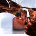 Intend Men Perfume 3.8 Fl Oz Eau De Parfum Vaporisateur Spray Long Lasting Oil France Marigold Geranium Lavender Basil - Buy Online on GoSupps.com