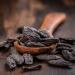 Buy Organic Bio Tonka Beans Powder 50g - Wild Harvested & Cultivated 100% Natural No Additives - Buy Online on GoSupps.com