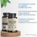 VINATURA Ashwagandha Korean Ginseng Kanna Zembrin Capsules - Brain Health & Stress Relief Support - 1250mg - Panax Ginseng & Sceletium Tortuosum Blend - Buy Online on GoSupps.com