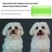 Pawfect Pet Metal Fine Tooth Comb Set for Cats and Dogs - Remove Lice, Fleas, Tear Marks, Dandruff - Buy Online on GoSupps.com