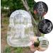UPKOCH 6 Pcs Fruit Shaping Mold Buddha Shaped Vegetable Shaping Mold Ginseng Shaping Tools Growing Mould Growth FormingForming 6pcs - Buy Online on GoSupps.com