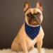 SLSON 14 Pack Dog Bandanas Plaid Dog Scarf Washable Triangle Pet Bibs Kerchief for Puppy Small Dog and Medium Dog Cat Pets - Buy Online on GoSupps.com