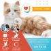 Joy for All Orange Tabby Cat - Realistic Interactive Companion for Cat Lovers | Shop Internationally - Buy Online on GoSupps.com
