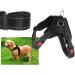 Best Dog Harness for Small Dogs | Reflective Soft Padded Adjustable & Anti-Train - Perfect for Running & Safety - Buy Online on GoSupps.com
