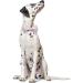 Lionet Paw's Silk Pink Dog Collar with Removable Fly for Puppies & Cats - Comfortable XS (20-30cm) | International Shipping Available - Buy Online on GoSupps.com