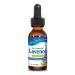 NORTH AMERICAN HERB & SPICE Lavenol - 1 fl. oz. - Wild Lavender Oil - Supports Healthy Nervous System Nourishes Skin & Hair - Non-GMO - 430 Servings