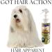 Got Hair Action - Hair Apparent Grooming Spray - Buy Online on GoSupps.com