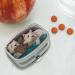 Westie West Highland White Terrier Pill Case - Teddy Bear Rectangle Trinket Gift Box for Dog Lovers - Buy Online on GoSupps.com