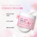 Japan Sakura Face Moisturizer for Women Cherry Blossom Essence Face Cream Moisturiser Face Women with Vitamin C And Sakura Extract Hydrating Moisturizing Skin Care Products Enhance Skin Elasticity - Buy Online on GoSupps.com