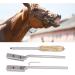 4Pcs Veterinary Horse Dental Float Rasp High Flexibility Fine Polishing Smoother Surfaces Equine Dental Kit for Animal Farm - Buy Online on GoSupps.com