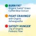 Garden of Life Organic Fit Protein Bars - Chocolate Covered Cherry, 12 Pack - Weight Loss & Nutrition - Buy Online on GoSupps.com