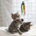 Buy Cobee Cat Toys - 12 Pack Furry Worms with Bells | Interactive Refill for Kitten Training | International Shipping - Buy Online on GoSupps.com