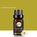 Chestnut Chamomile Essential Oil for Varicose Veins | 5-Piece Set - Natural Relief - Buy Online on GoSupps.com