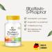 Riboflavin-5-Phosphate - Vitamin B2 - Vegan - Active Riboflavin - 100 Tablets | Warnke Vitalstoffe - German Pharmacy Quality - Shop Now! - Buy Online on GoSupps.com