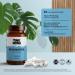 PINK MONK Trans-Resveratrol | 99% Pure with Superior Absorption | Immune Booster & Anti-Aging Antioxidant Supplement | Vegan 60 Caps | UK Made - Buy Online on GoSupps.com