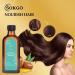 Moroccan Argan Treatment Hair Oil - Extra Strength for Luxurious Hair Care Split Ends & Frizz Repair - Buy Online on GoSupps.com