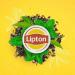Lipton - Nespresso compatible Green Tea Marrakech capsules - 3x10 - Buy Online on GoSupps.com